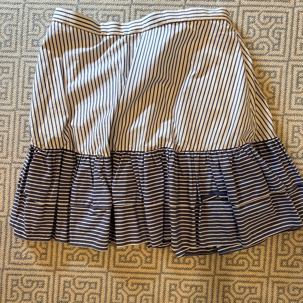 J.Crew Skirt